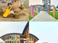 -中国天府农业博览园