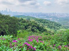 -广州市白云山风景名胜区