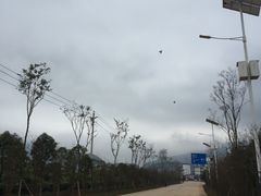 -抚仙湖样样好生态农庄