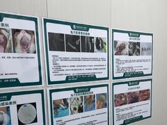 -东莞宠友24H宠物中心医院·转诊夜诊·异宠(新河北路院)