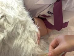 -宠爱国际动物医院·消化内科·心肾内科·ISFM猫友好(望京店)