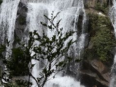 -海南热带雨林国家公园吊罗山景区