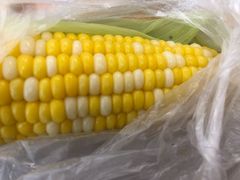 -南粤光明乳鸽(金钟店)