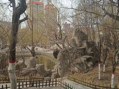 -文瀛公园