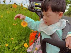 -长田漾湿地公园