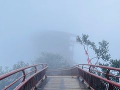 -少华山国家森林公园