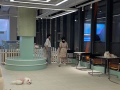 -怪兽屋·羊驼·猫咖·狗咖(俊华广场店)