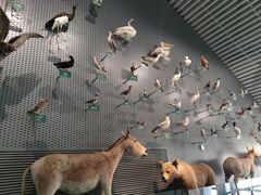 -中国湿地博物馆