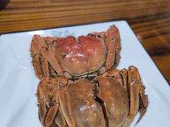 -呼吸森林·生态农庄农家乐私房菜