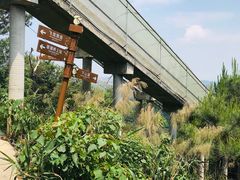 -牛鱼嘴原始生态风景区