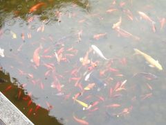 iphone_upload_pic-扬州瘦西湖汇金酒店