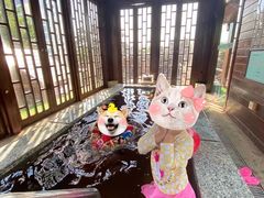 -裕龙汤泉