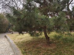 -丰台花园