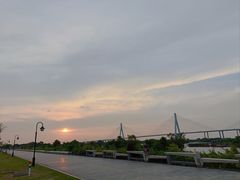 -芒洲湿地公园