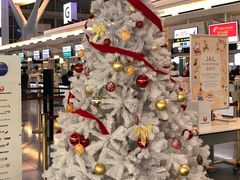 -TIAT DUTY FREE SHOP NORTH(羽田机场店)