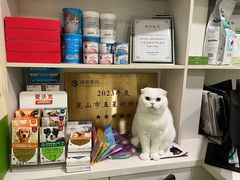 -辛巴宠物医疗中心·骨科·内分泌专科·心肾专科(亭林公园店)