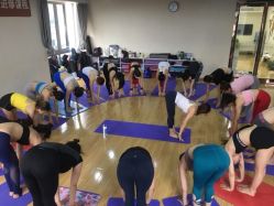 点击看大图 -亚太瑜伽普拉提学院