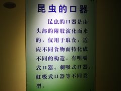 -上海昆虫博物馆