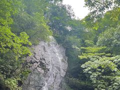 -本溪汤沟绿石谷森林公园