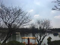 -秀丽东方