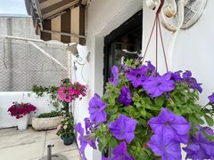 -素心小筑(后沙裕镇店)