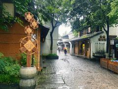 -西溪国家湿地公园