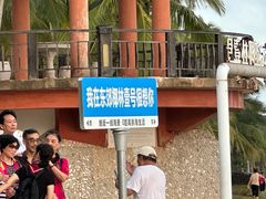 -东郊椰林