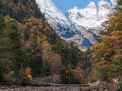 -金塔沙漠胡杨林景区