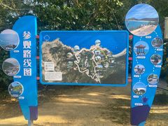 -广东惠东海龟国家级自然保护区