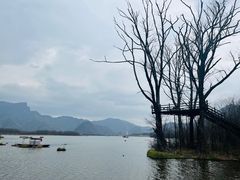 -大九湖