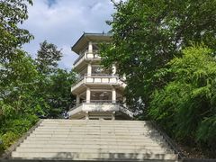 -攀枝花公园