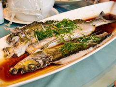 -年辉渔村·非遗传承餐厅(新丰江店)