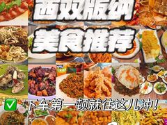 -西双版纳原始森林公园