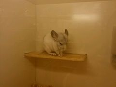 -龙猫仔乐园(惠福东路店)