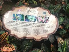 -南山植物园