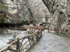 -朱雀国家森林公园