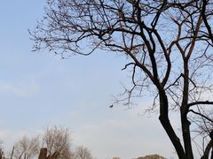 -北京明城墙遗址公园