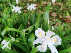-贵阳市花溪国家城市湿地公园