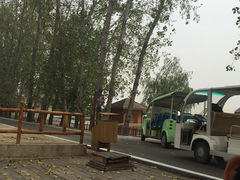 -微山湖红荷湿地景区