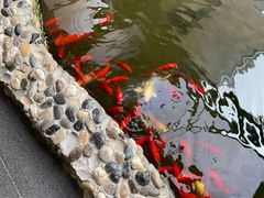 -半岛1919创意园区