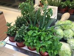 -果蔬好生活超市(双井店)