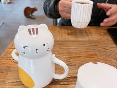 -吉丁鸟咖·异宠·寄养