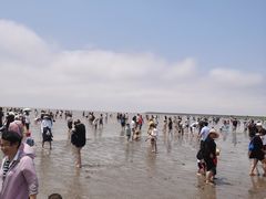-奉贤海滩