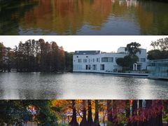 -中国科学院华南植物园