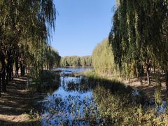 -东坝千亩湖公园