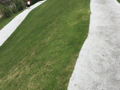 -南通洲际绿博园