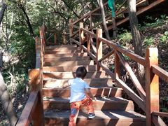 -大岭沟猕猴桃谷风景区