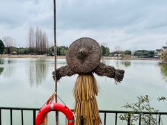 -沙家浜风景区