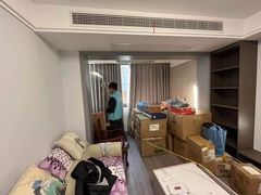 -Liteclear日本进口强效除甲醛检测治理(旗舰店)
