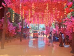 -北京欢乐谷